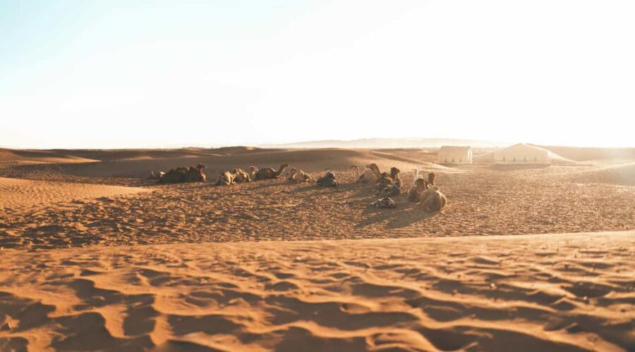 Group 2 Day Desert Tour from Marrakech