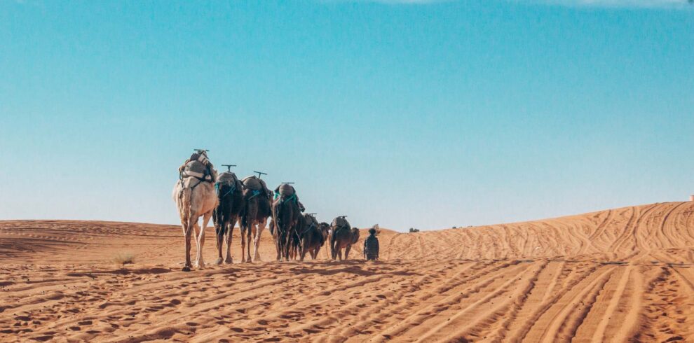 3 Days tour from Fes to Marrakech