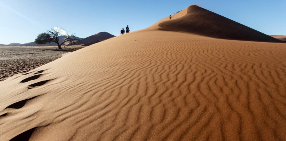 8 Days costal tour from Fes